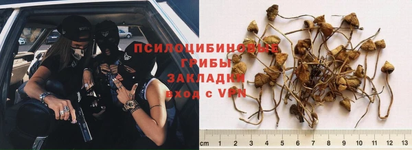 стаф Краснотурьинск