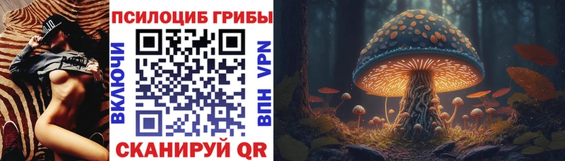 Галлюциногенные грибы GOLDEN TEACHER где можно купить Павловская
